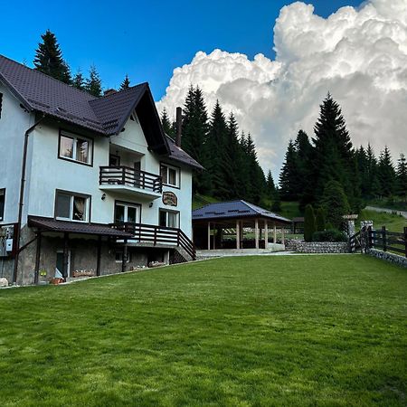 Pensiunea Poienita Ursului Fundata Exterior foto