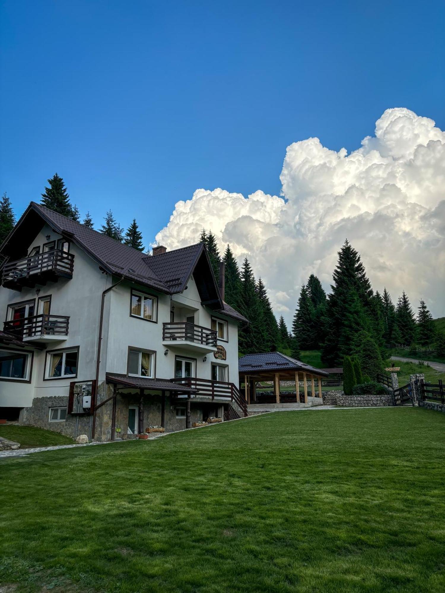 Pensiunea Poienita Ursului Fundata Exterior foto